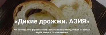 Дикие дрожжи. Азия (Ольга Ткаченко)
