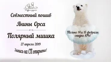 Совместный пошив «Полярный мишка» (Янина Орса)