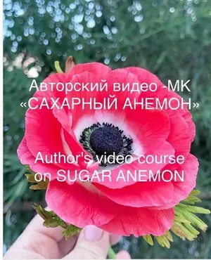 [Кондитерка] Видео МК Сахарный анемон (julija_2005)