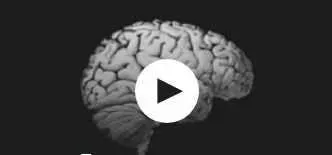 [Udemy] Хакерская дислексия, СДВГ, нейродивергентные проблемы (Пол Тилли)