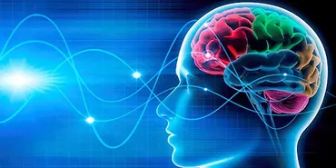 [Sigh Energy] Ультра нейропластичность | Ultra Neuroplasticity Powerful Plus+11x (Extra Strong)