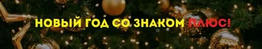 Новый год со знаком плюс (Нинель Смолина)