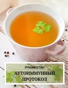 [tami_zhane] Руководство Аутоиммунный протокол и рецепты (Жане Тамилла)