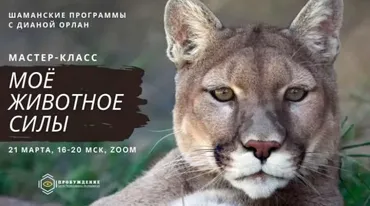 Моё животное силы (Диана Орлан)
