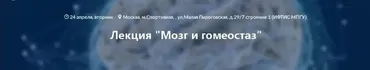 [Архэ] Мозг и гомеостаз. Транскрибация + видео (Вячеслав Дубынин)