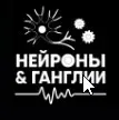 Базовый курс по нейрорадиологии Нейроны и ганглии (Дмитрий Бойко, Денис Сашин)