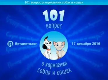 101 вопрос о кормлении собак и кошек (Анна Линева)