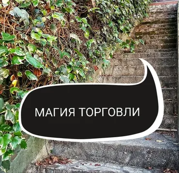 Магия торговли (Ольга Ракита)