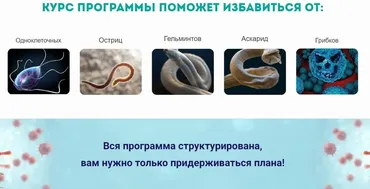[Urban Queen] Полное антипаразитарное очищение (Наташа Сведовая)