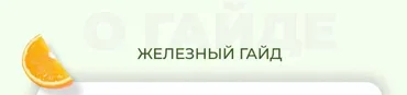 Железный гайд (Софья Литошенко)