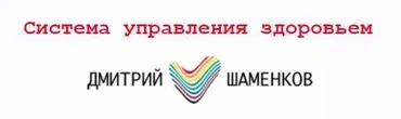 Система управления здоровьем 2013 (Дмитрий Шаменков)