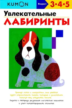 Увлекательные лабиринты. Возраст 3-4-5 лет [Kumon]