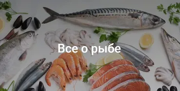 Все о рыбе (Елена Мотова)