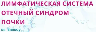 Лимфатическая система. Отечный синдром. Почки (Аркадий Бибиков)