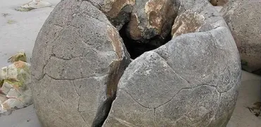 Материнская жертва (Елена Веселаго)