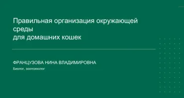 Правильная организация окружающей среды для домашних кошек (Нина Французова)