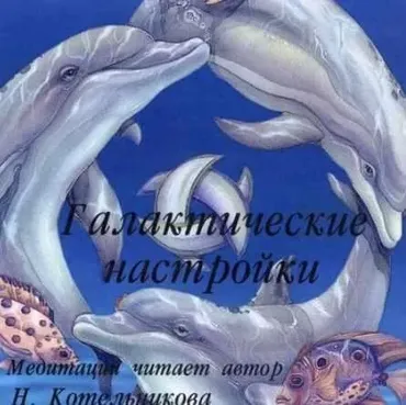 Диск Б16. Медитация Галактические настройки (Наталья Котельникова)