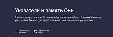 [Stepik] Указатели и память С++ (Виталий Богодухов)