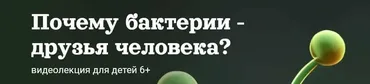 Почему бактерии - друзья человека? (Александр Толмачёв)