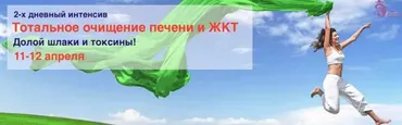 Тотальное очищение печени и ЖКТ. Вип (Владимир Осипов)