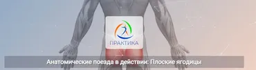 [Центр Практика] Анатомические поезда в действии: Плоские ягодицы (Анна Щербина)