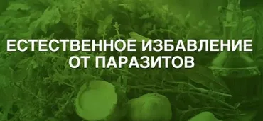 Ecтecтвeннoe избaвлeниe oт пapaзитoв (Aннa Зимeнcкaя)