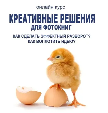 [Фотокниги] Креативные решения для фотокниг. Визуальное воплощение идеи. Креатив (Елена Виноградова)