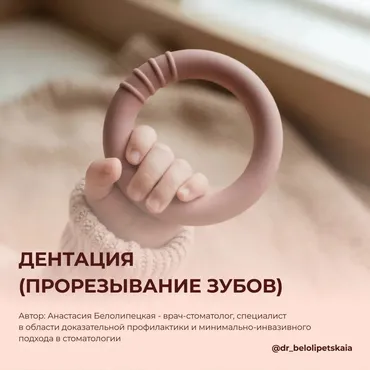 Инструкция по дентации - прорезыванию зубов (Анастасия Белолипецкая)