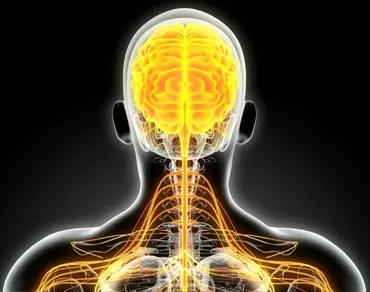 [Sigh Energy] Улучшение нервной системы Powerful Plus + 11x (Extra Strong). Nervous system improvement Powerful Plus +11x(Extra Strong)
