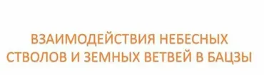 Взаимодействия небесных стволов и земных ветвей в Бацзы (Анна Подчернина)