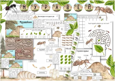 [busy-bee] Проект Муравей уровень 2/3 (Елена Самсонова)