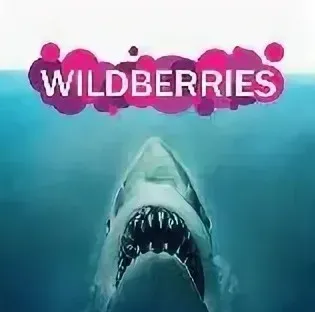 Акулы Wildberries (Иван Куриленко)