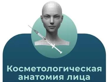 Анатомия человека. Тариф Косметологическая анатомия лица (Эдгар Кафаров)