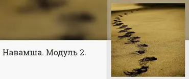 Навамша. Модуль 2 (Анна Ласточкина)