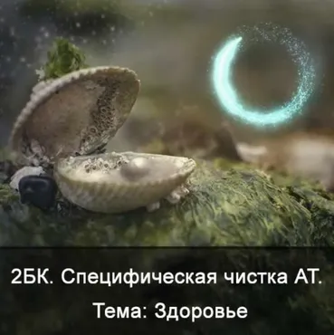 2БК Специфическая чистка астрального тела. Тема: Здоровье (Ксения Меньшикова)