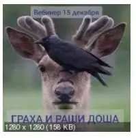 Грaxa дoшa и Рaши дoшa (Андрей Ларионов)