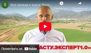 Васту эксперт 1.0 (Сергей Никифоров)
