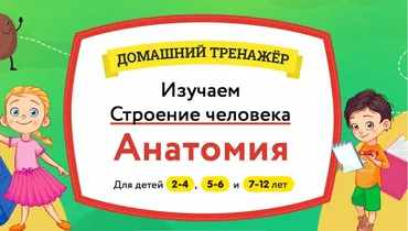 [НИИ Эврика] Домашний Тренажер «Изучаем Строение Человека. Анатомия» для детей 7-12 лет