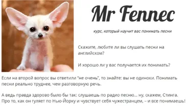 Mr Fennec 3. Развлекательный курс, который научат вас понимать песни (Антон Брежестовский)