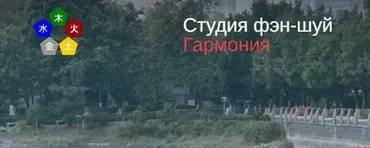 Благородные помощники 2019 года (Юлия Бальсина)