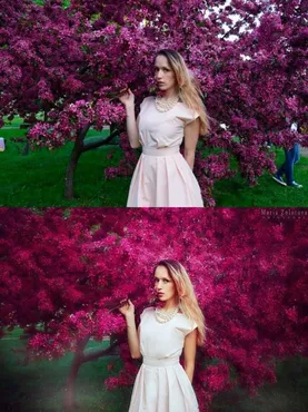 Художественная обработка фотографии. Сказка (Мария Золотова)