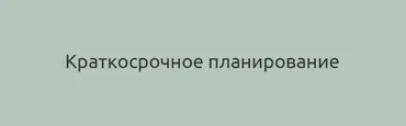Краткосрочное планирование (Наталия Шафранова)