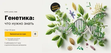 [Level One] Генетика: что нужно знать (Егор Мусин)