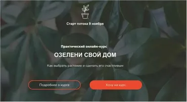Озелени свой дом. Тариф Мне только посмотреть (Натали Серова)