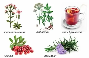 Натуральное лечение дома (Анна Клинкова)