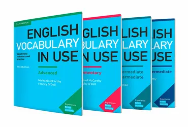 English Vocabulary in Use. Все уровни (Cambridge)