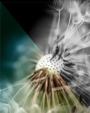 The Art Of Converting Color To Black And White. Преобразование цвета в ЧБ (David Nightingale)