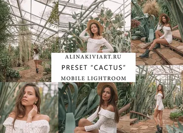 Мобильный пресет Cactus (Alina Kiviart) 2019