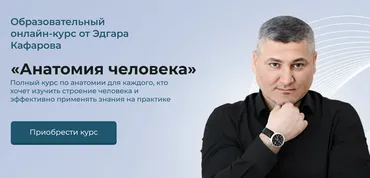 Анатомия человека. Тариф Платина (Эдгар Кафаров)