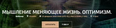 Мышление меняющее жизнь. Оптимизм (Александр Палиенко, Николь Кустовская)